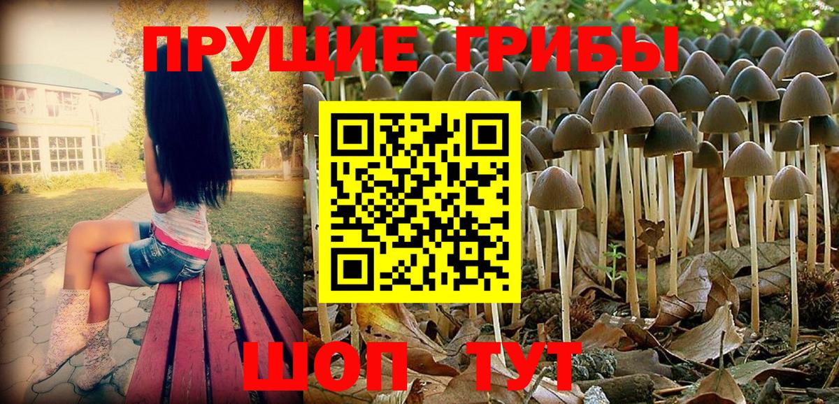 Галлюциногенные грибы мицелий  Галлюциногенные грибы Psilocybine cubensis  Вход с VPN  Азнакаево 